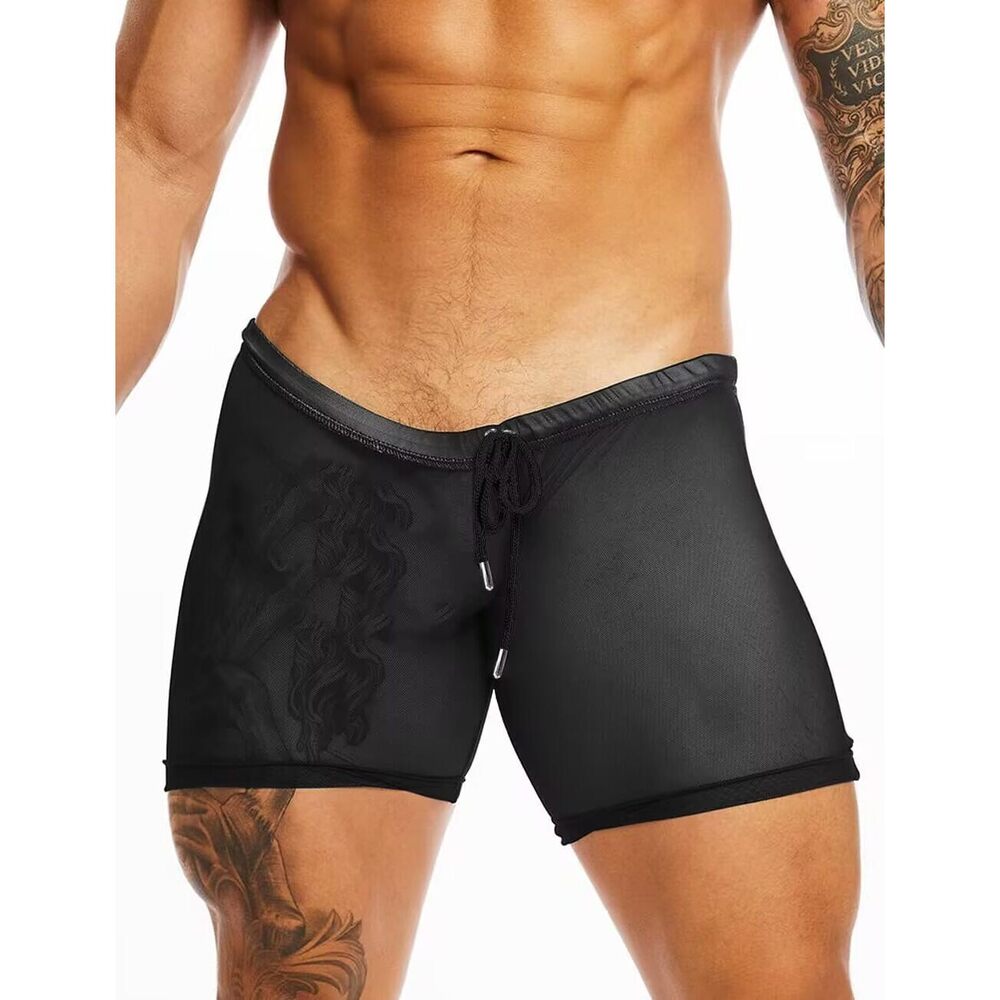3201 Mesh See Through Shorts Breathable Sheer Lounge Underwear Compression